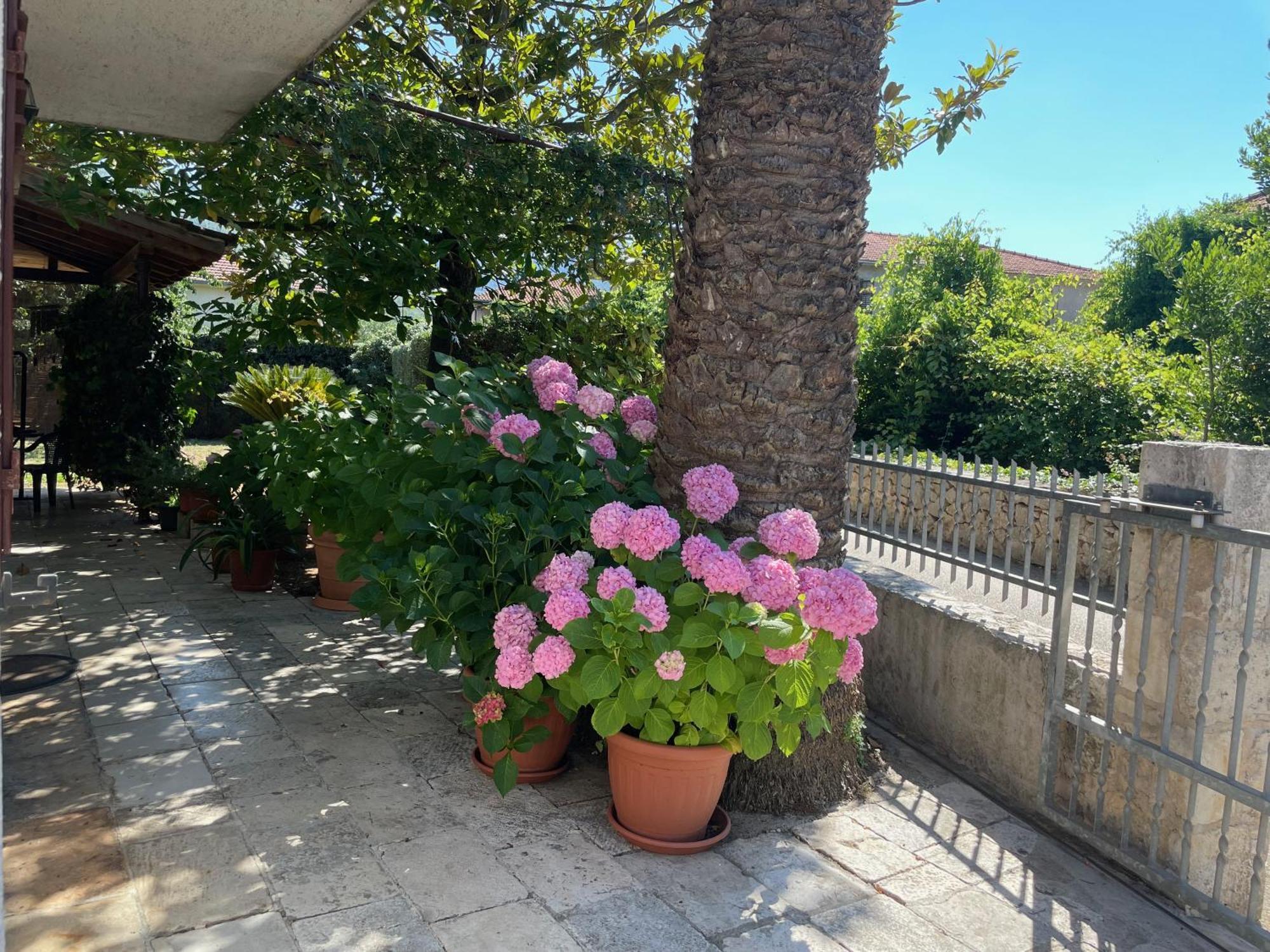 Hvar Guesthouse - Double Bedroom With Private Bathroom Елса Экстерьер фото